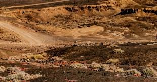 库里31+5创NBA神迹，勇士完败！巴特勒30+7+6，麦科勒姆首秀14中5